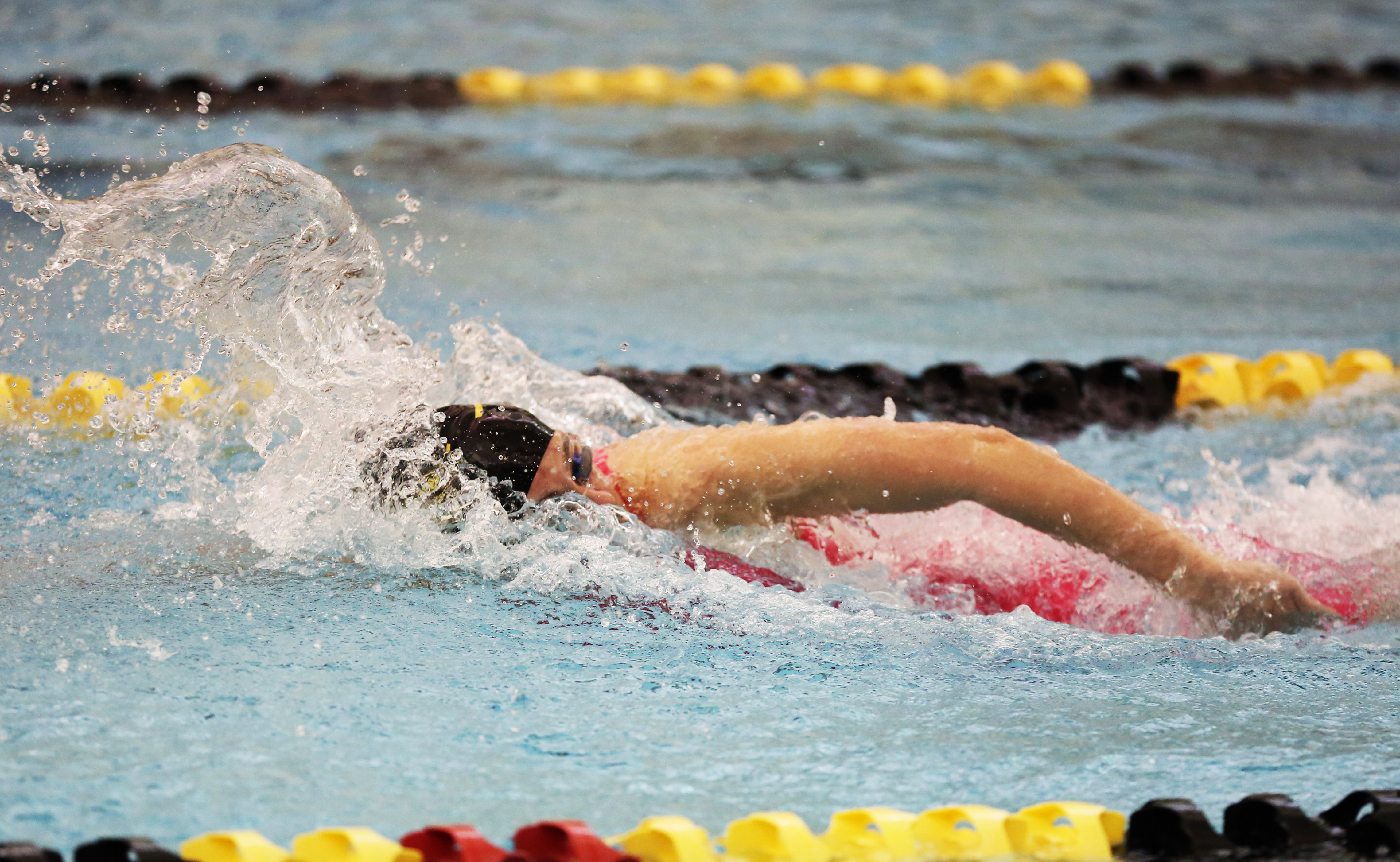 Penn Girls Swimming Sectional Champions Photo Gallery Penn High School Penn Girls Swimming Sectional Champions Photo Gallery Penn High School