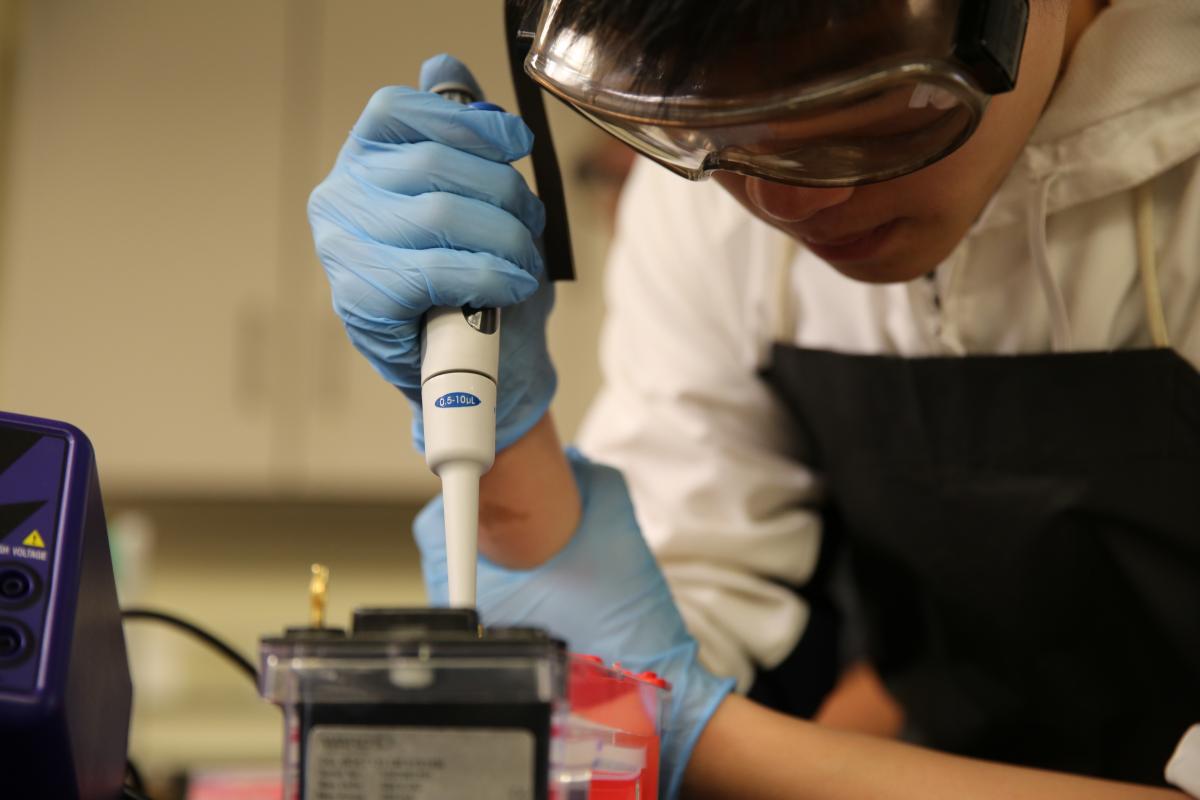 Penn student preforming a DNA lab test
