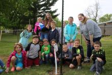 "Giving Trees" at Elsie Rogers School