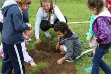 "Giving Trees" at Elsie Rogers School