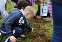 "Giving Trees" at Elsie Rogers School