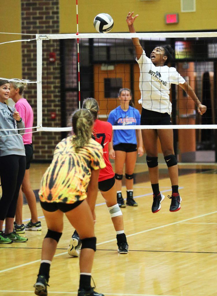 A Penn Volleyball player soars for a block.