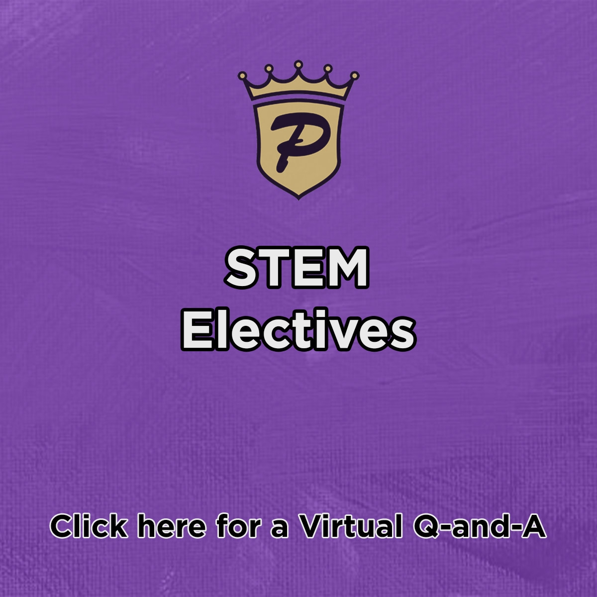 Stem Electives