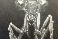 Sammi-Johnson-Mantis-Silver-Key